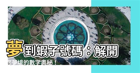 夢到蝦子號碼|夢境號碼解析結果